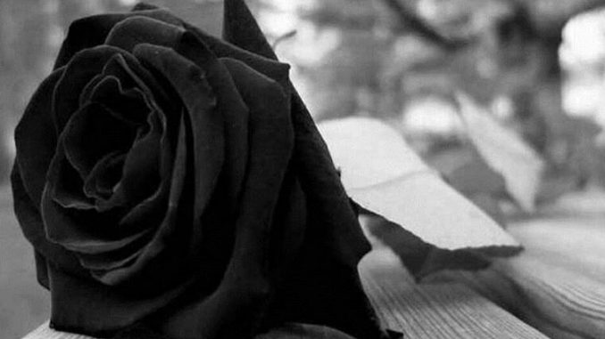 rose_penthos
