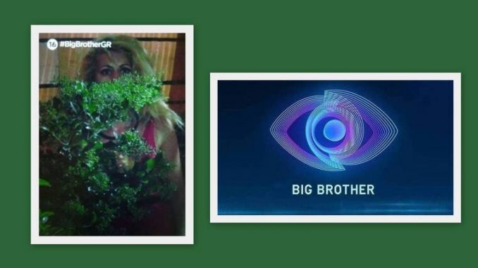 annamariabigbrother