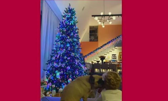xmas