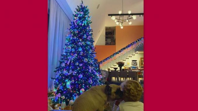 xmas