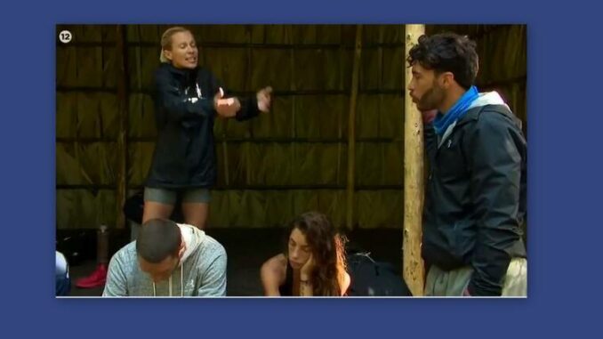 asiminasurvivor1