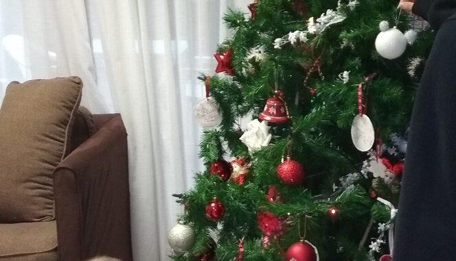 storgi (2)