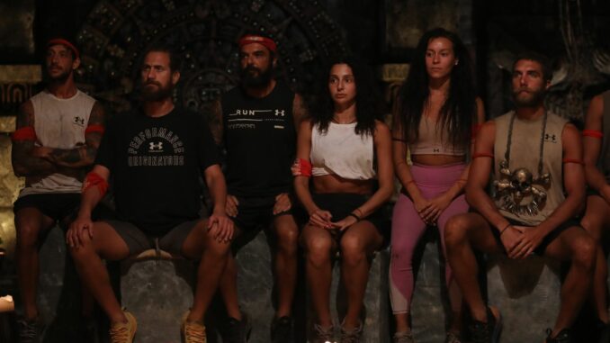 survivor2