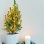 christmas home unsplash4