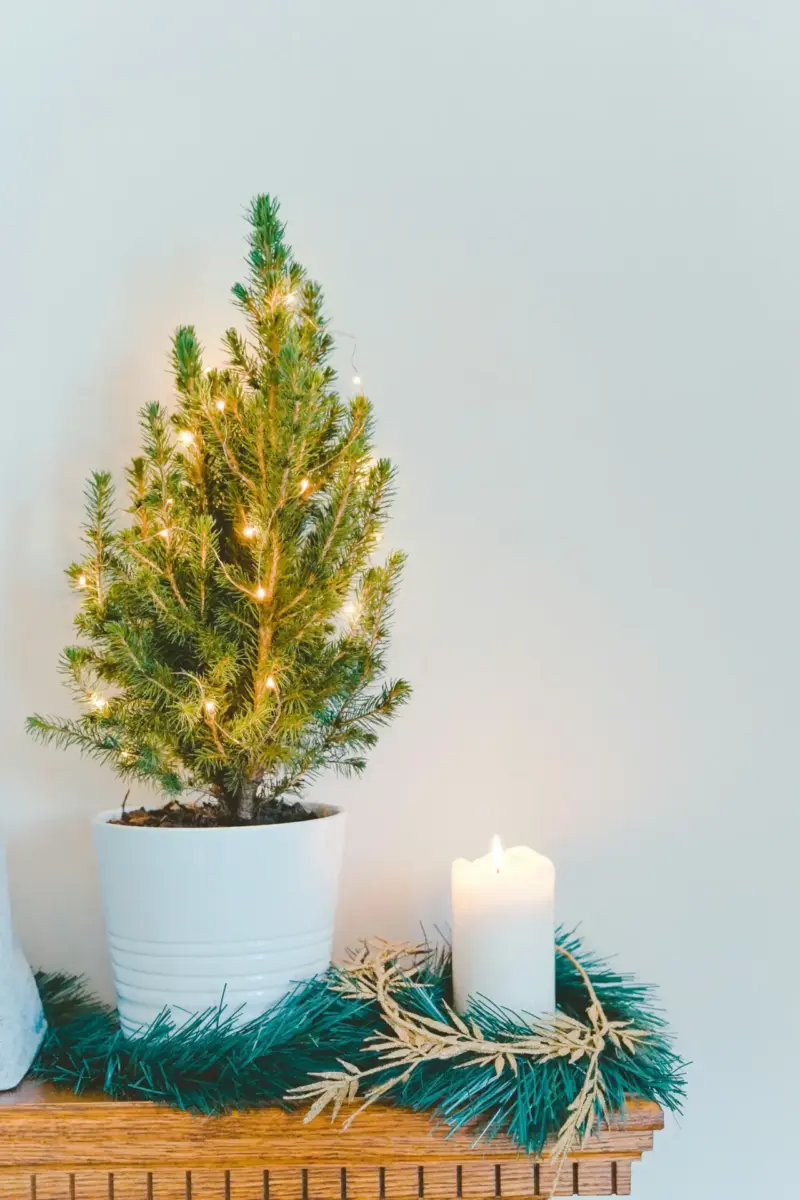 christmas home unsplash4