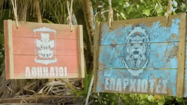 Survivor Survivor