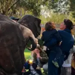 antigonekouloukakos-post-8-3-2026-2-51-02-m-m-3848309251760457271