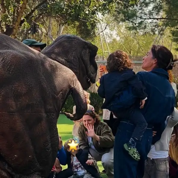 antigonekouloukakos-post-8-3-2026-2-51-02-m-m-3848309251760457271