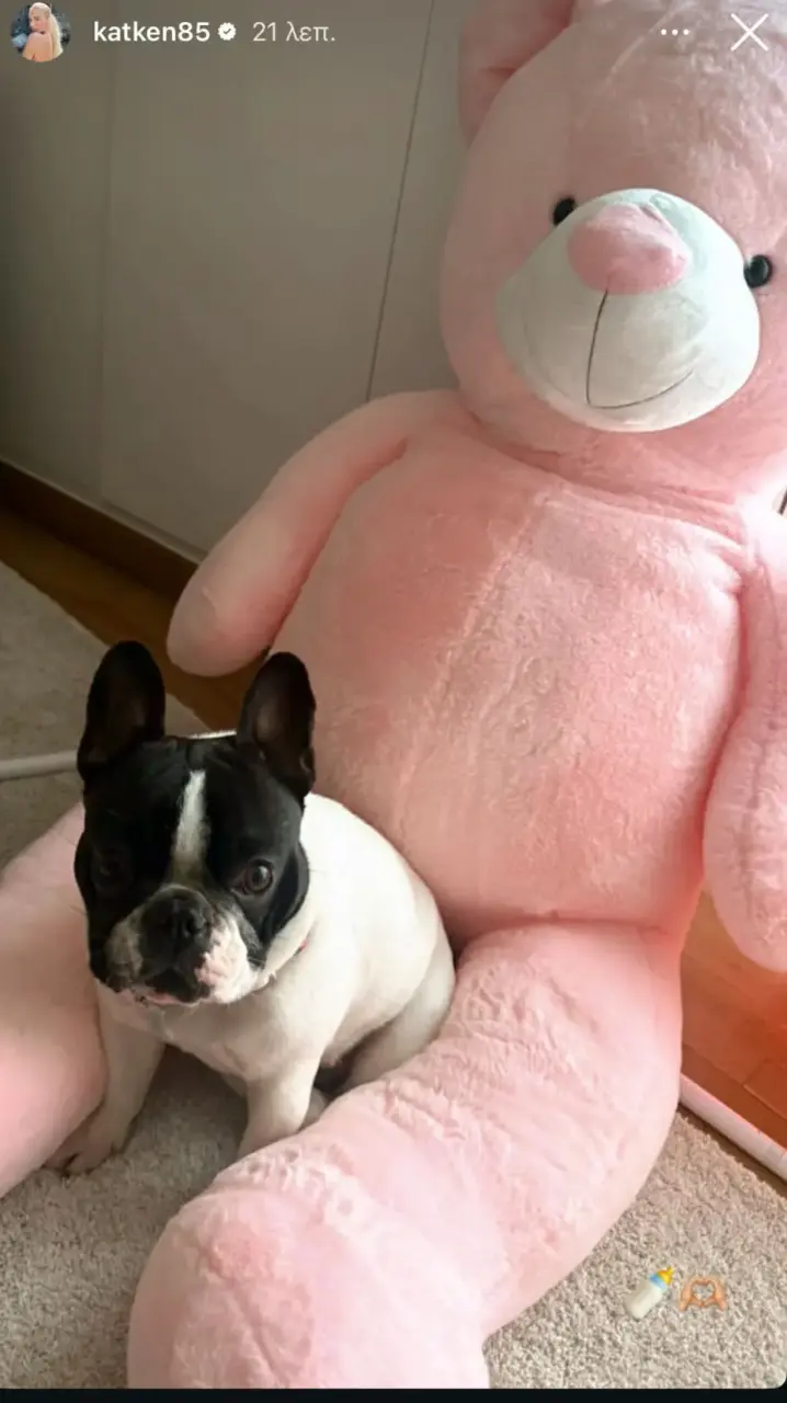 b123a3ca-145c-43f4-a6c1-bc5468ee1344