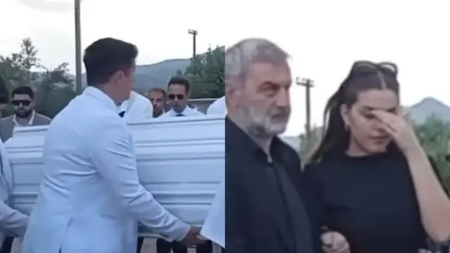 gogo