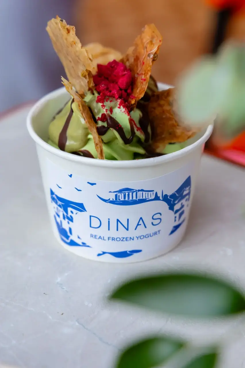 DINA'S EAT REAL (13)