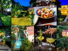 Gardenia All Day Café • Bistro • Wine Bar Restaurant – Η καταπράσινη όαση γεύσης στο Χαλάνδρι gardenia
