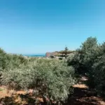 marakiiliaki_1783949912_3940379564540939677_194727078